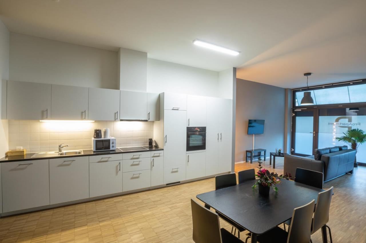 Appartement Proapartment Bazel
